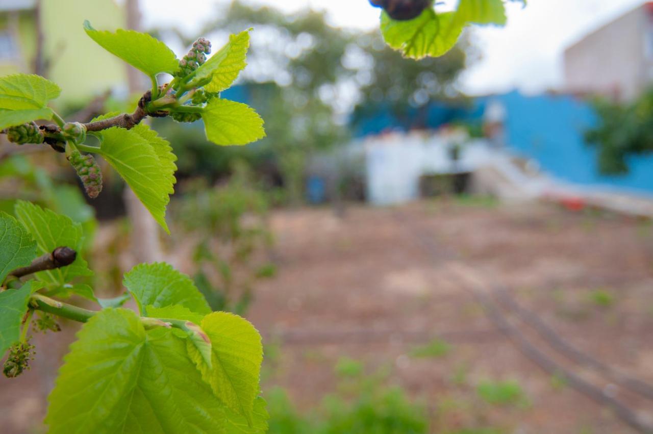 La Huerta De Manuel Vila Tejina Exterior foto